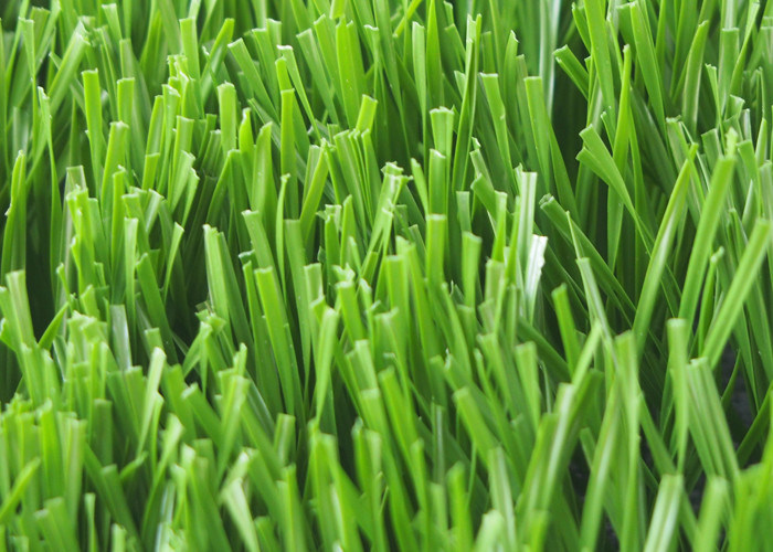 High Density Football Artificial Grass 50mm PE Stem Fiber Artificial
