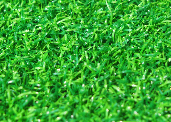 Natural Looking Mini Golf Green Artificial Turf PE Curled Yarn Non Toxic