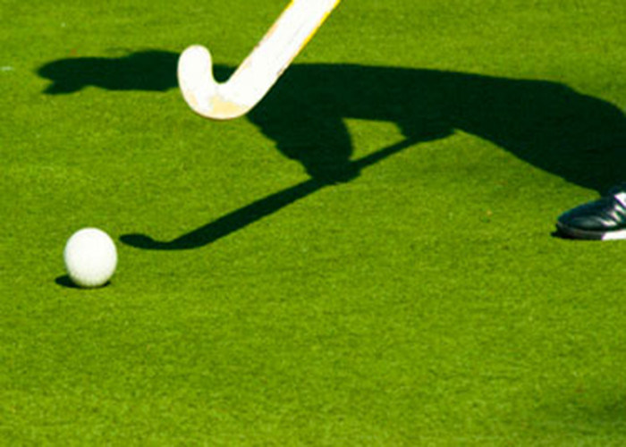 Durable Hockey Artificial Grass Easy Cleaning PE Artificial Grass For Hockey