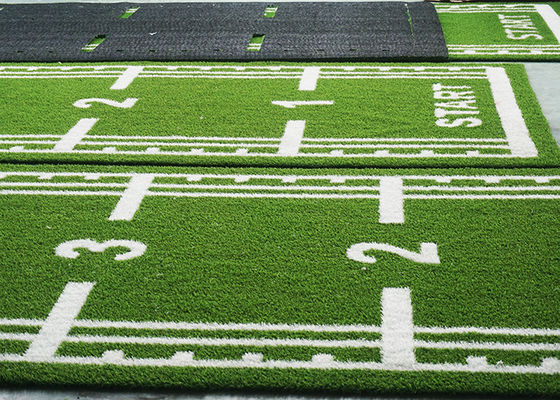Gym Artificial Turf on sales - Quality Gym Artificial Turf supplier