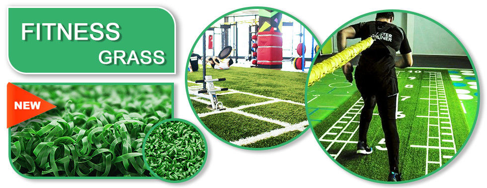 China best Gym Artificial Turf on sales