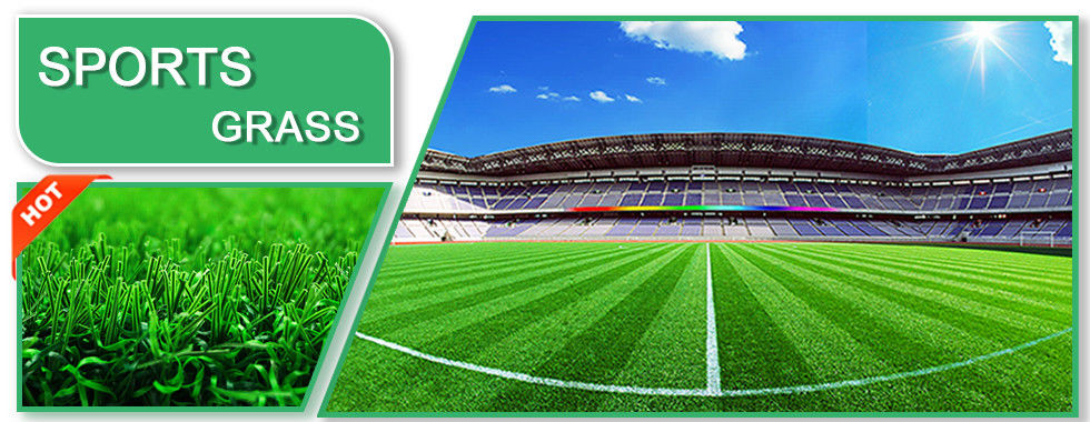 China best Football Artificial Grass on sales