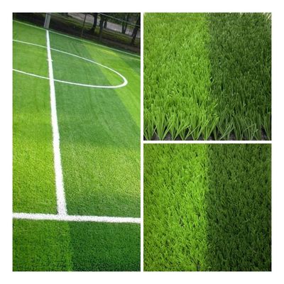 Outdoor 40mm 50mm Gym Fake Grass PE Synthetic Turf Grass