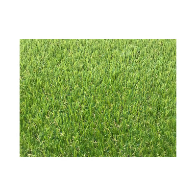 18 10cm Backyard Putting Green Landscaping 35mm Playground Grass Carpet