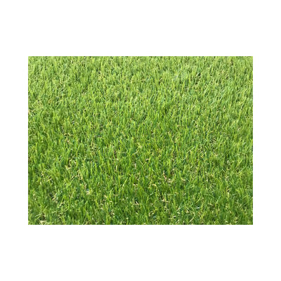 35mm Synthetic Putting Green Turf 3/8 Inch Premium Natural Garden Landscape Golf Artificial Grass Carpet