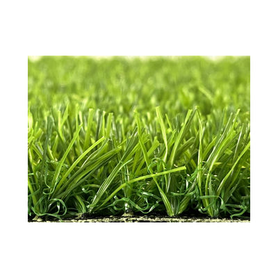 China 9000d Green Wall Carpet Artificial Synthetic Turf 25mm Fake Grass For Home Gym