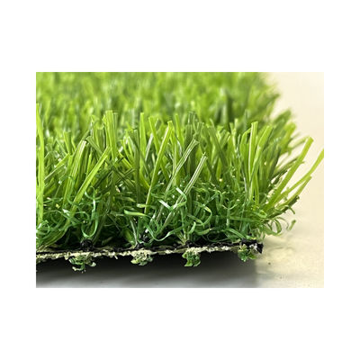 China 9000d Green Wall Carpet Artificial Synthetic Turf 25mm Fake Grass For Home Gym