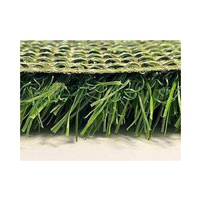 China 9000d Green Wall Carpet Artificial Synthetic Turf 25mm Fake Grass For Home Gym