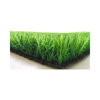 25mm Gym Artificial Turf Carpet 16cm 10cm Grass Seed Mat For Soccer